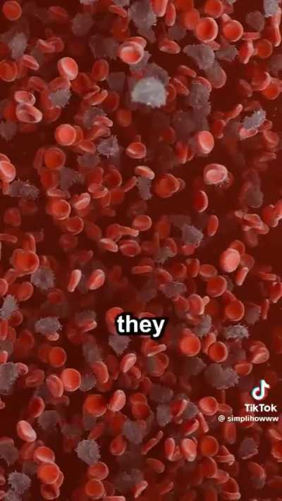 A shocking discovery...