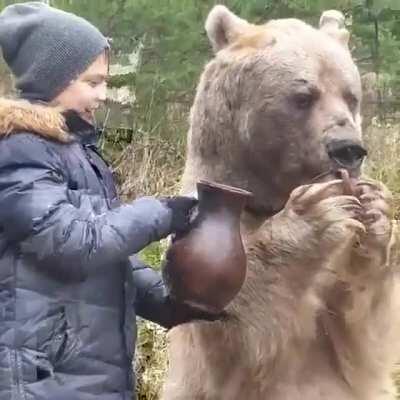 A bear next to human