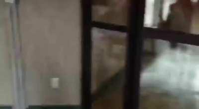 Girl banging her chest at a Silverback Gorilla