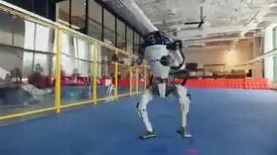 Yo y los panas cuando Duxo y Aquino pelean