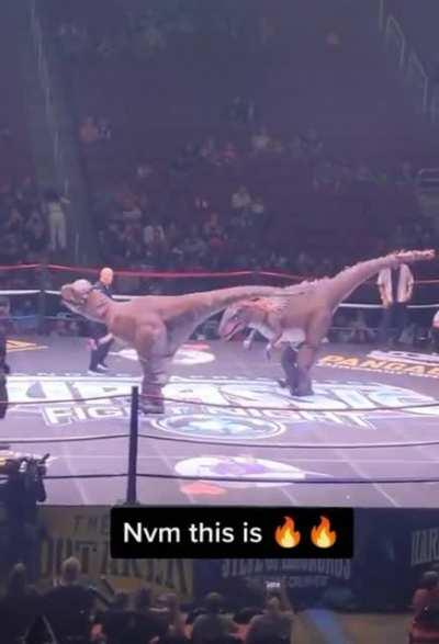 Dino Boxing with the Boys