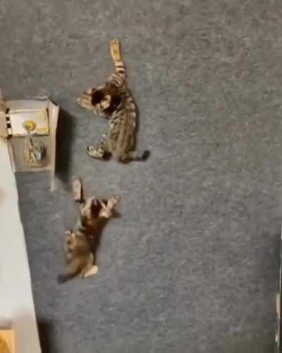 Accidentally switched X and Y coordinates