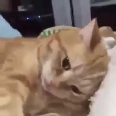 when they wake me for Suhur