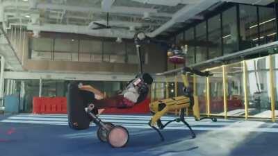 humans are becoming obsolete