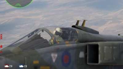 Some fly in cockpit might have distracted my pilot lol