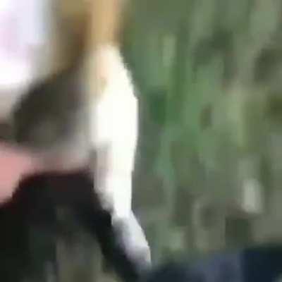 that is it, because you descended so far down into this subreddit, you leave me with no choice... YOU HAVE LOST YOUR REPTILE PRIVILEGES