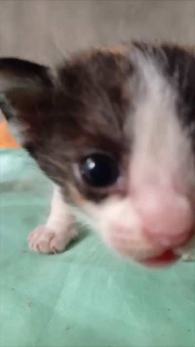 I guess he just wants to greet everyone a Merry Christmas