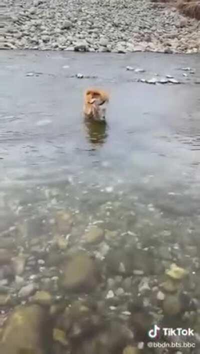 for how simple this was i was pretty mind blown