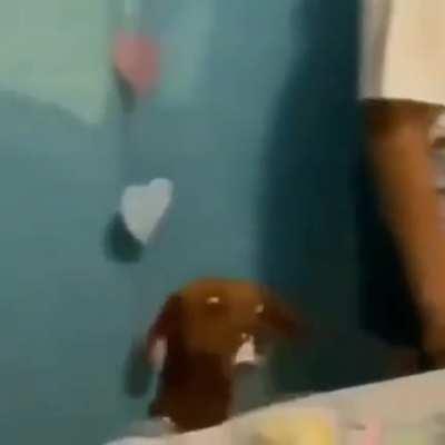 hmmmmmmm bolho dimurangu