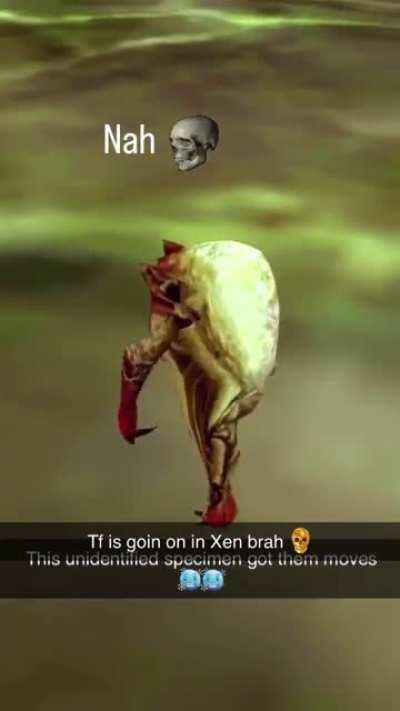 Hell naw dawg i hate being in xen :skull: :skull: