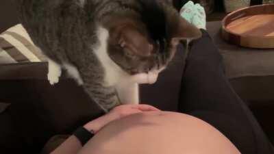 You can have kittens too?