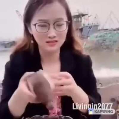 China's delicacy