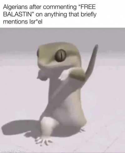 🇵🇸🇵🇸🇵🇸🇵🇸🇵🇸🇵🇸🇵🇸🇵🇸🇵🇸🇵🇸