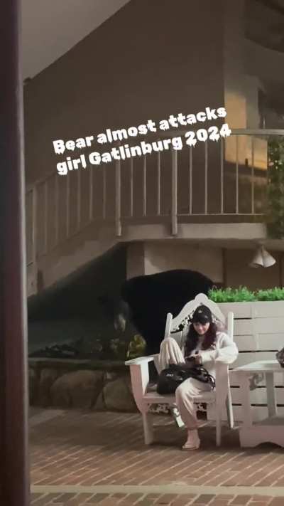 Would you still choose the bear? 