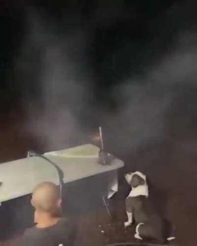 to fly like the firework rocket.