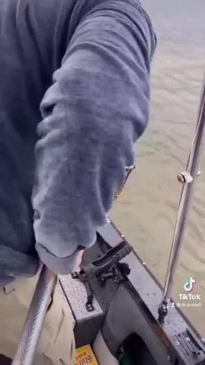 These fishermen scooping up a struggling fawn in a fishing net and driving it back to shore to reunite it with its mother