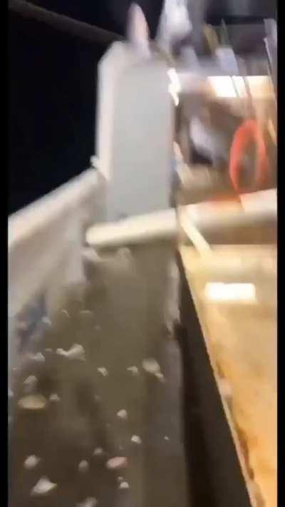 Mermaids in real life? (probably fake but spooky nonetheless)