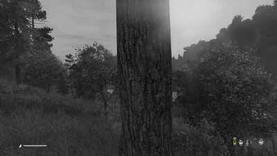 Found an old video of my scariest moment in dayz.