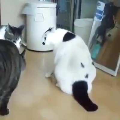 Don't mind me .. I'm just watching