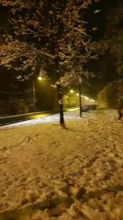 Police officers assault kids that are fighting with snowballs