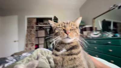 Video evidence of cuddles