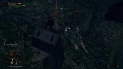 This is what over 1000 hours of Fromsoft experience looks like