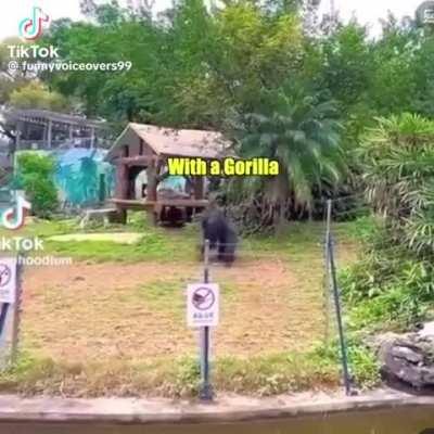 Dub is great but seriously, why?