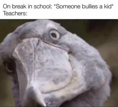 They don't do anything