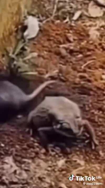 Kkkkkkkk foi expulso