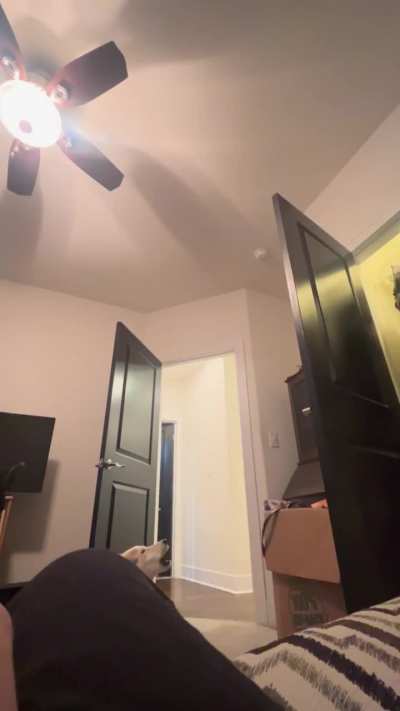 Can never get a quiet rehearsal with this one