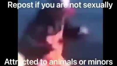 don't worry if you are a minor too