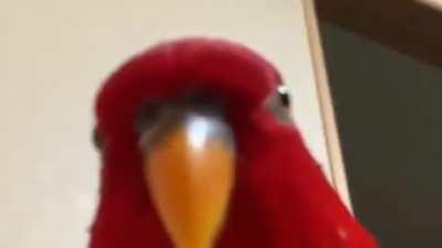 When you being low 65%