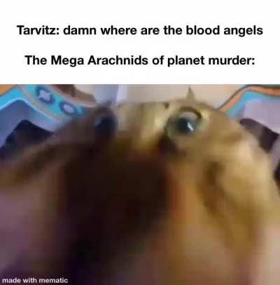 Those trees did in fact have a purpose