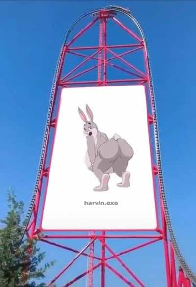 New sexy big chungus coaster at le ceedar point