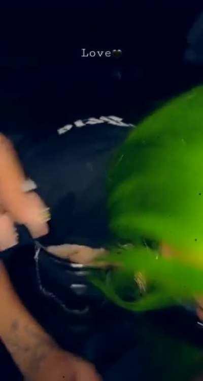 WLR does NOT scare the hoes confirmed