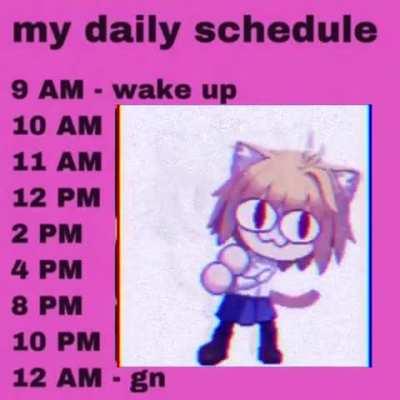 Daily Routine