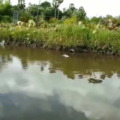 Why Womble really wants an rc fishing boat