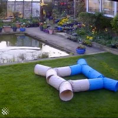 Lag Causes Catastrophic Error