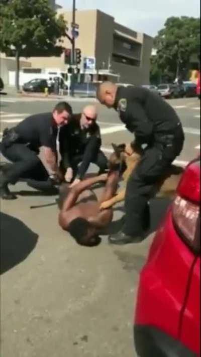 To control a police dog