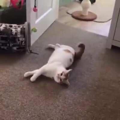 mreeee-AH (not mine)