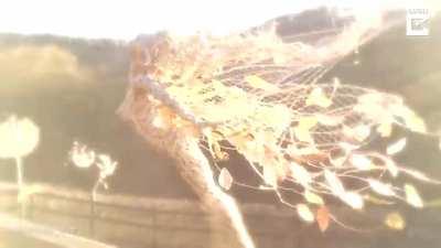 Beautiful garden fairies... made from wire