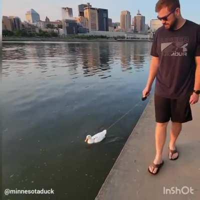 Sacando a Pascuala a pasear