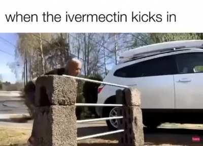 When the ivermectin kicks in