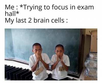 Я: *Пытаюсь сосредоточиться на подготовке к экзамену*. Мои последние две извилины: