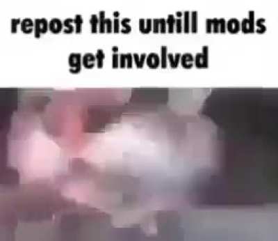 GIVE US OUR RIGHTS BACK MODS