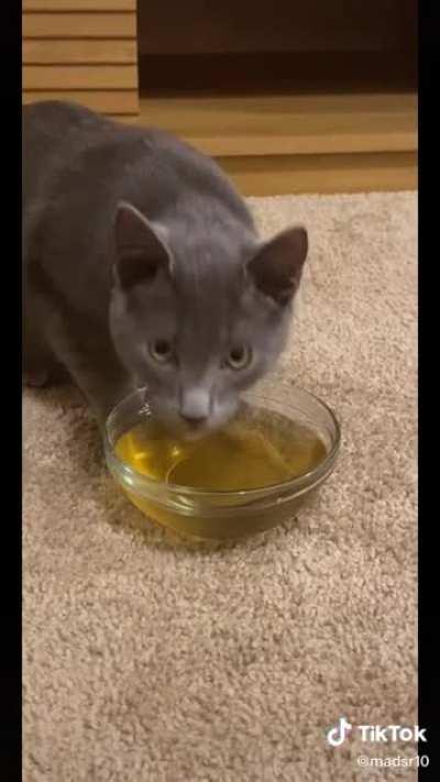 “Catnip tea “ he really do be vibin tho