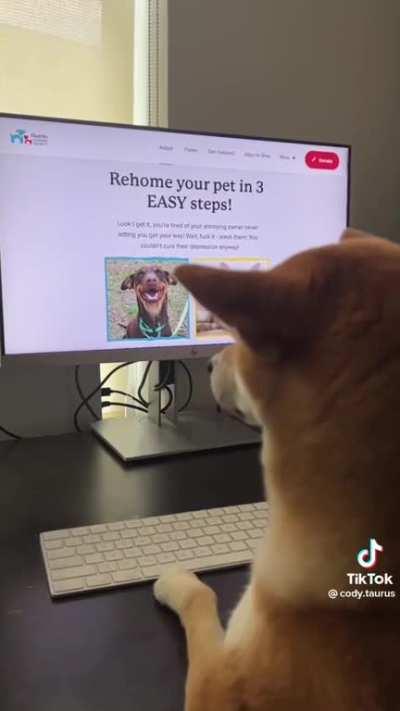 he just turned 15 in dog years