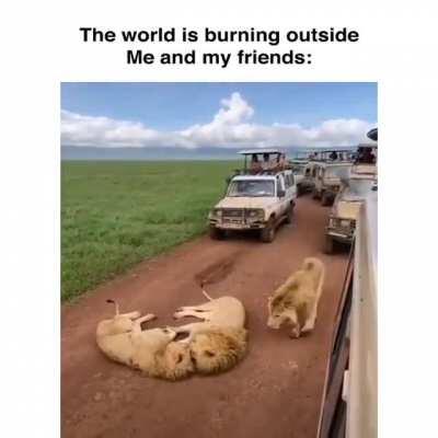 Да пусть все горит огнем(не перевод)