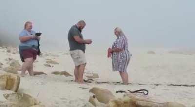 WCGW: Trying to take proposal pictures