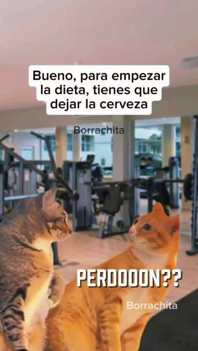 La dieta más bandeada